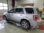 2009 Ford Escape Limited