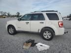 2010 Ford Escape Hybrid