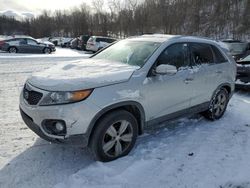 Clean Title Cars for sale at auction: 2013 KIA Sorento EX