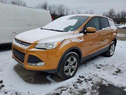 Salvage cars for sale at Marlboro, NY auction: 2016 Ford Escape SE