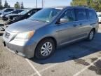 2009 Honda Odyssey EXL