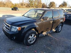 2011 Ford Escape XLT en venta en Madisonville, TN