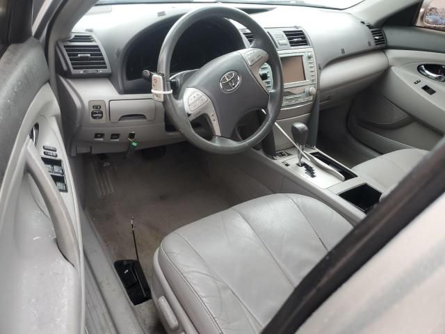 2009 Toyota Camry Hybrid