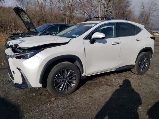 2024 Lexus NX 350H Base