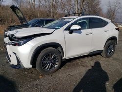 Lexus nx 350h ba salvage cars for sale: 2024 Lexus NX 350H Base