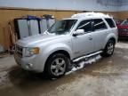 2008 Ford Escape Limited