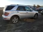 2009 Mercedes-Benz ML 350