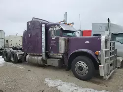 Salvage trucks for sale at Bismarck, ND auction: 2007 Peterbilt 379