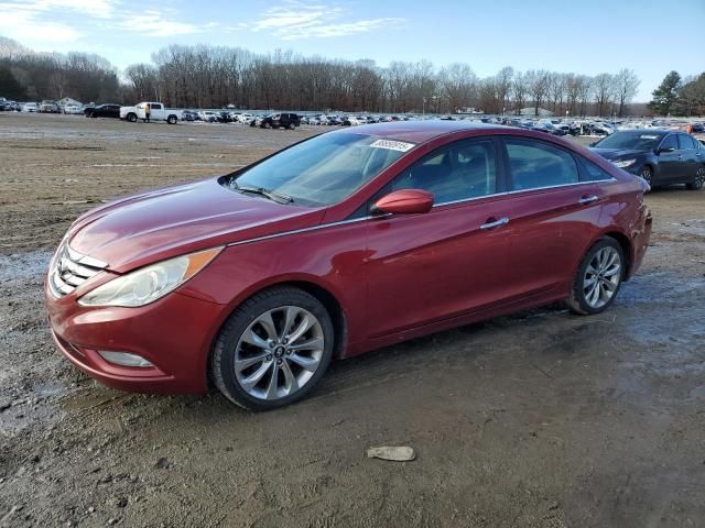 2011 Hyundai Sonata SE