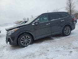 Hyundai Santa fe salvage cars for sale: 2017 Hyundai Santa FE SE