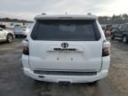 2024 Toyota 4runner SR5/SR5 Premium