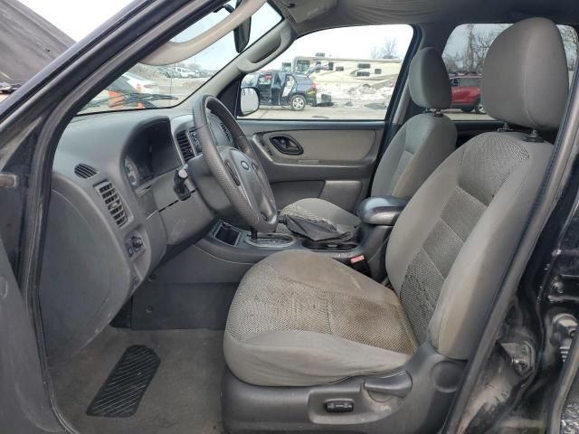 2005 Ford Escape XLT