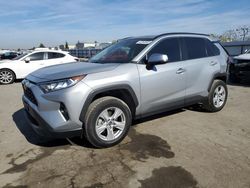 Salvage cars for sale at Bakersfield, CA auction: 2019 Toyota Rav4 XLE