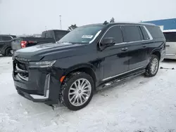 Salvage cars for sale at Woodhaven, MI auction: 2021 Cadillac Escalade ESV Premium Luxury