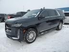 2021 Cadillac Escalade ESV Premium Luxury