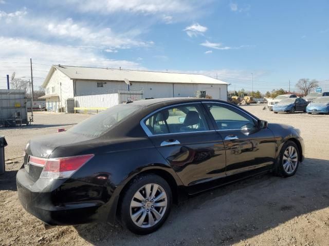 2011 Honda Accord EXL