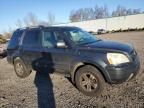 2005 Honda Pilot EXL