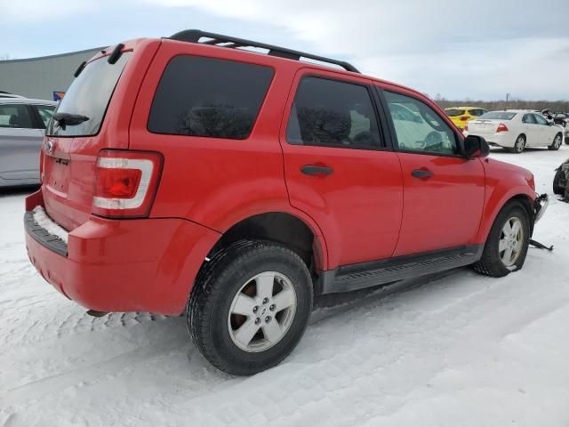 2009 Ford Escape XLT