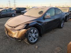 Salvage cars for sale at Elgin, IL auction: 2023 Tesla Model Y