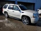 2007 Cadillac Escalade Luxury