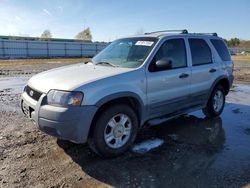 Clean Title Cars for sale at auction: 2002 Ford Escape XLT