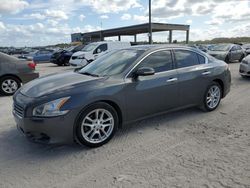 Salvage cars for sale at West Palm Beach, FL auction: 2011 Nissan Maxima S