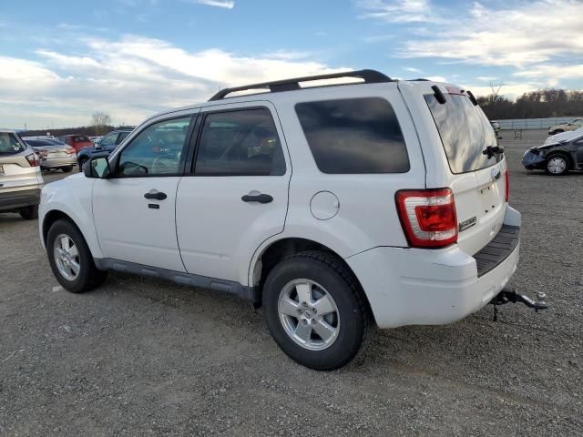 2011 Ford Escape XLT