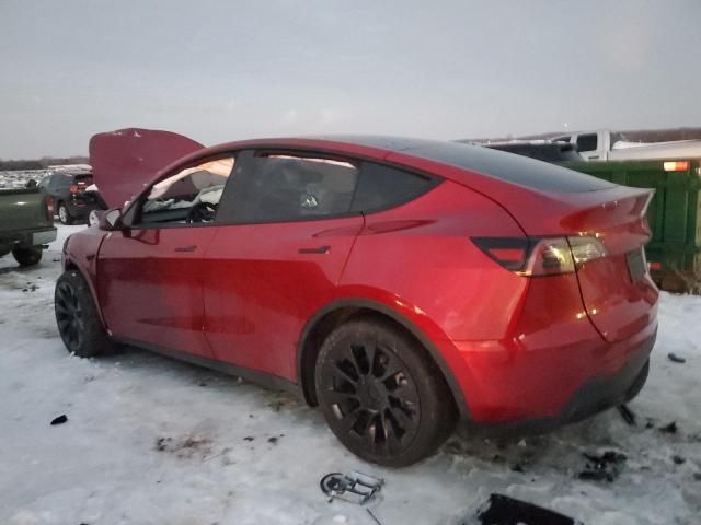 2025 Tesla Model Y