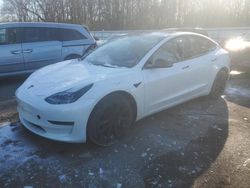 Salvage cars for sale at Glassboro, NJ auction: 2023 Tesla Model 3