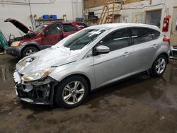 2013 Ford Focus SE en venta en Ham Lake, MN