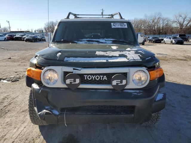 2010 Toyota FJ Cruiser