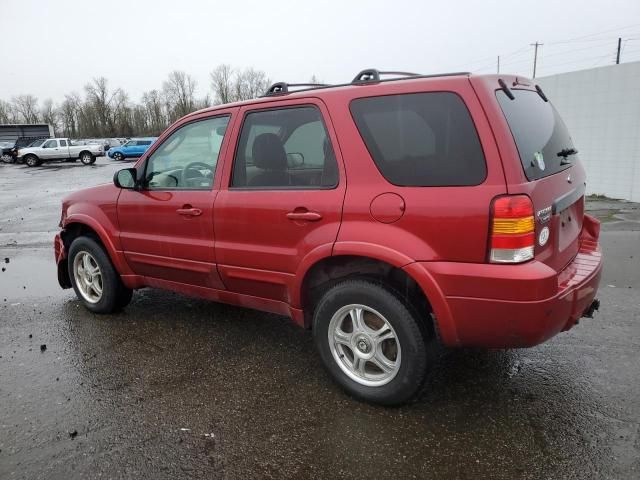 2005 Ford Escape Limited