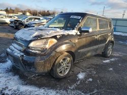 Vehiculos salvage en venta de Copart Pennsburg, PA: 2011 KIA Soul +