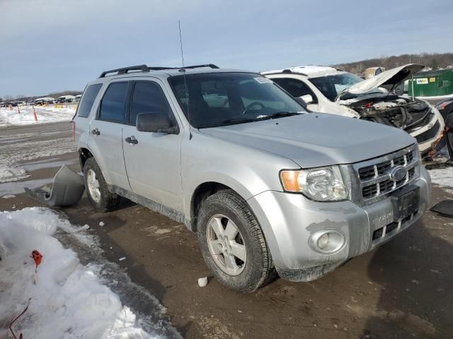 2009 Ford Escape XLT