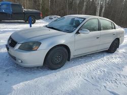 Salvage cars for sale at Cookstown, ON auction: 2005 Nissan Altima SE