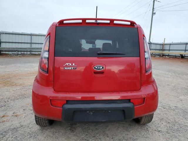 2010 KIA Soul +