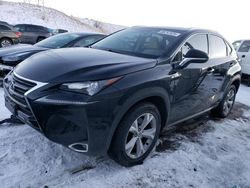 2017 Lexus NX 200T Base en venta en Littleton, CO