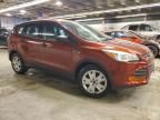 2014 Ford Escape S