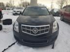 2010 Cadillac SRX Luxury Collection