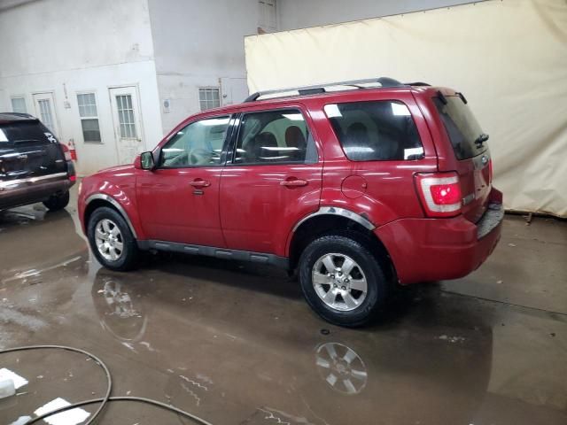 2011 Ford Escape Limited