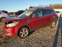 Salvage cars for sale from Copart Memphis, TN: 2014 Ford Escape SE