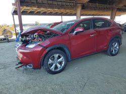 Salvage cars for sale at American Canyon, CA auction: 2017 Lexus NX 300H