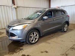 Salvage cars for sale at Pennsburg, PA auction: 2014 Ford Escape Titanium