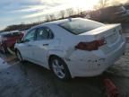 2010 Acura TSX