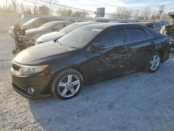 Salvage cars for sale at Walton, KY auction: 2013 Toyota Camry L