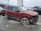 2011 Ford Escape XLS