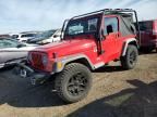 2002 Jeep Wrangler / TJ X