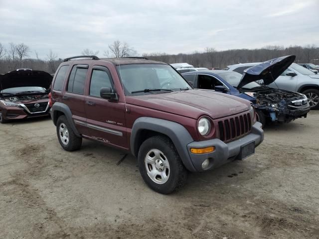 2003 Jeep Liberty Sport