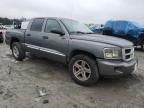 2010 Dodge Dakota SXT