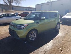 Salvage cars for sale at Albuquerque, NM auction: 2015 KIA Soul +